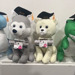 Graduation Stuffed animals 