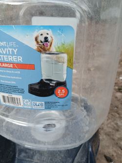 Bebedero Para Perros