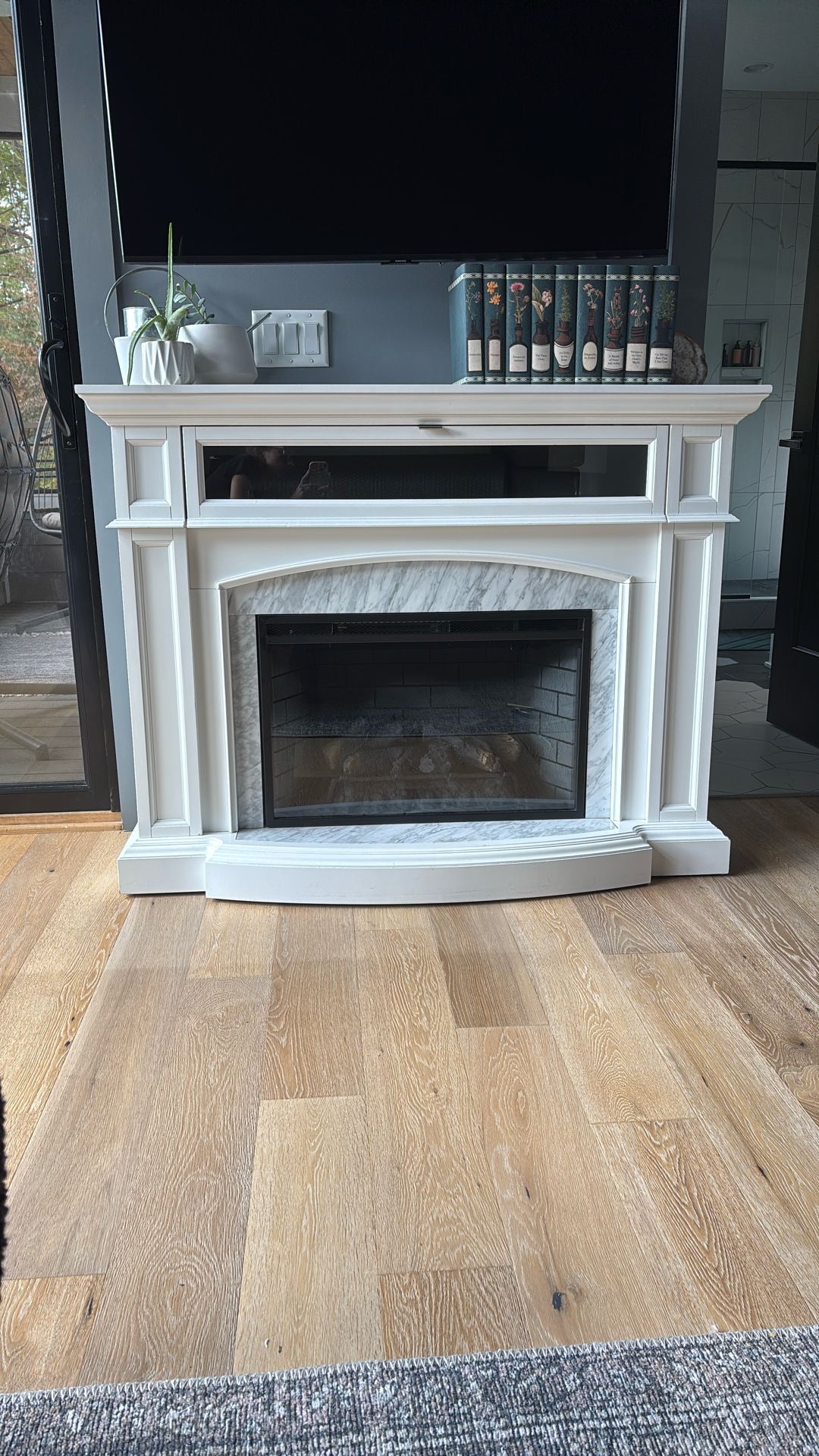 Electric Fire Place