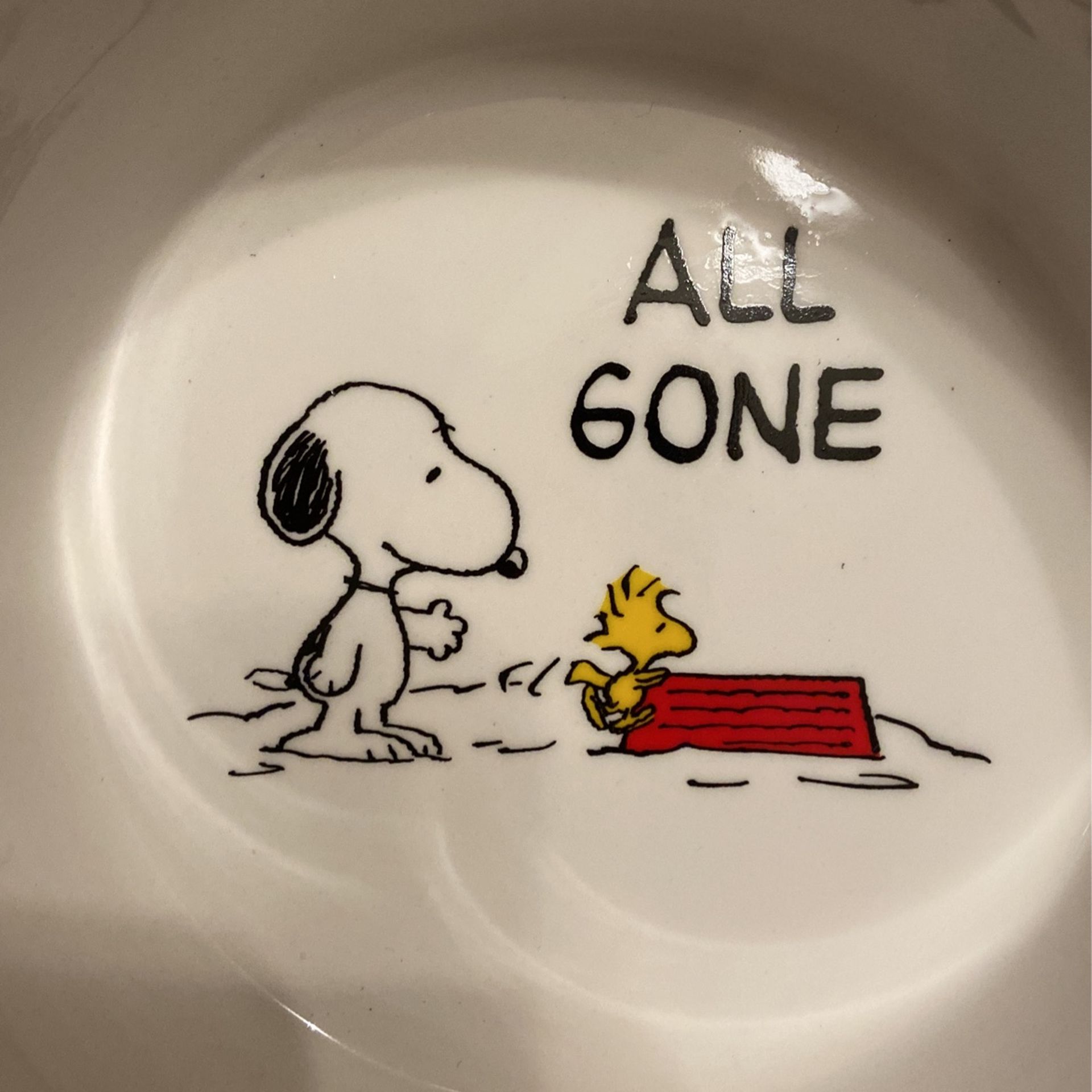 Snoopy Dog Bowls -set of 2 By Peanuts