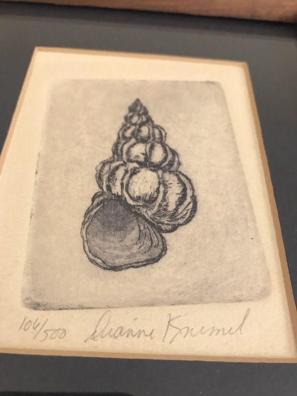 Seashell: Dianne Krumel Signed Etching, Art