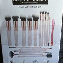 Makeup brush Set