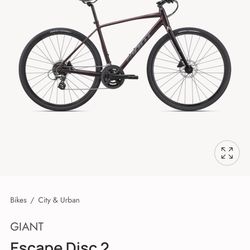 Hybrid / Gravel Giant Brand Bike 