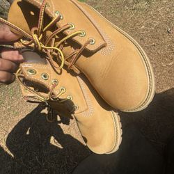 2m Timberlands 