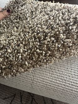 Speckled Brown Carpet