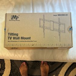 Mounting Dream TV tilting wall mount