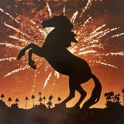 ISO Stagecoach Friday Only 