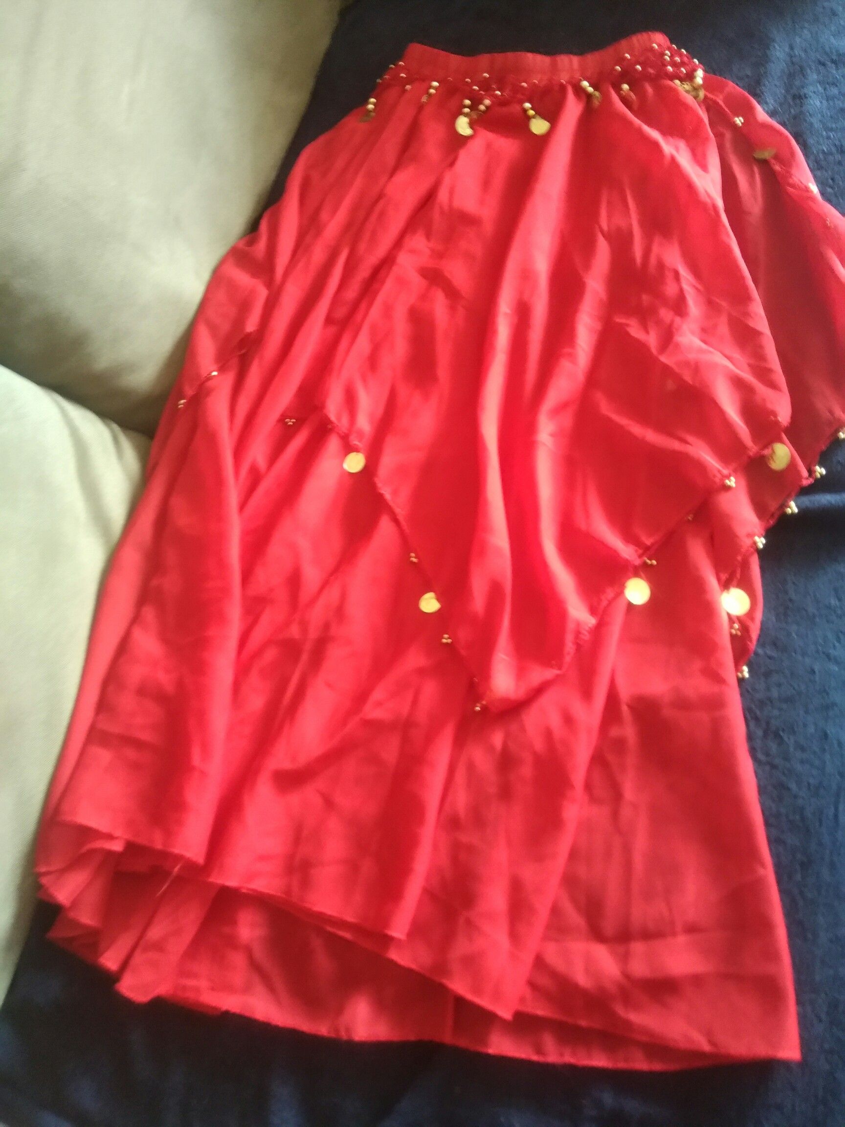 Belly Dance Chiffon skirt /Halloween costume.