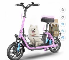 550 W Electric Scooter