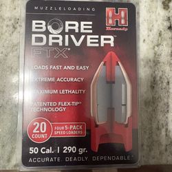 Hornady FTX Boredriver
