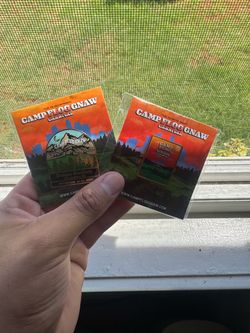 Camp Flognaw Pins 2023