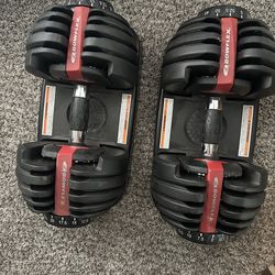 BowFlex adjustable weights