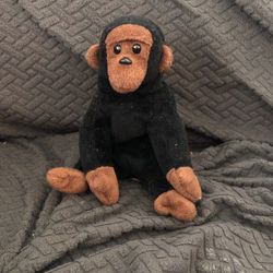 Beanie Baby Congo Monkey 