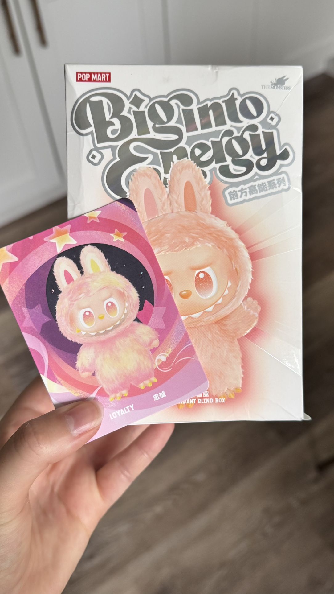 Big Into Energy Labubu V3 Loyalty Pop Mart
