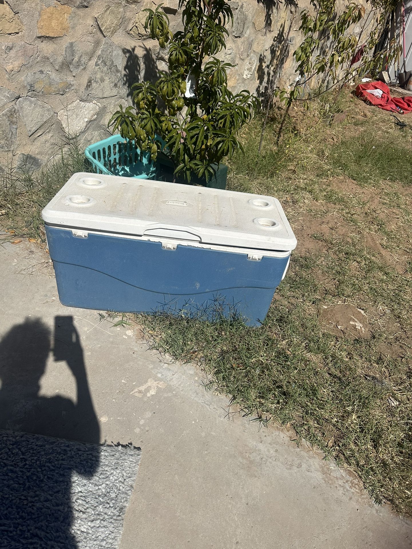 Large Cooler $5