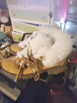 UNIONBAY BOOTS