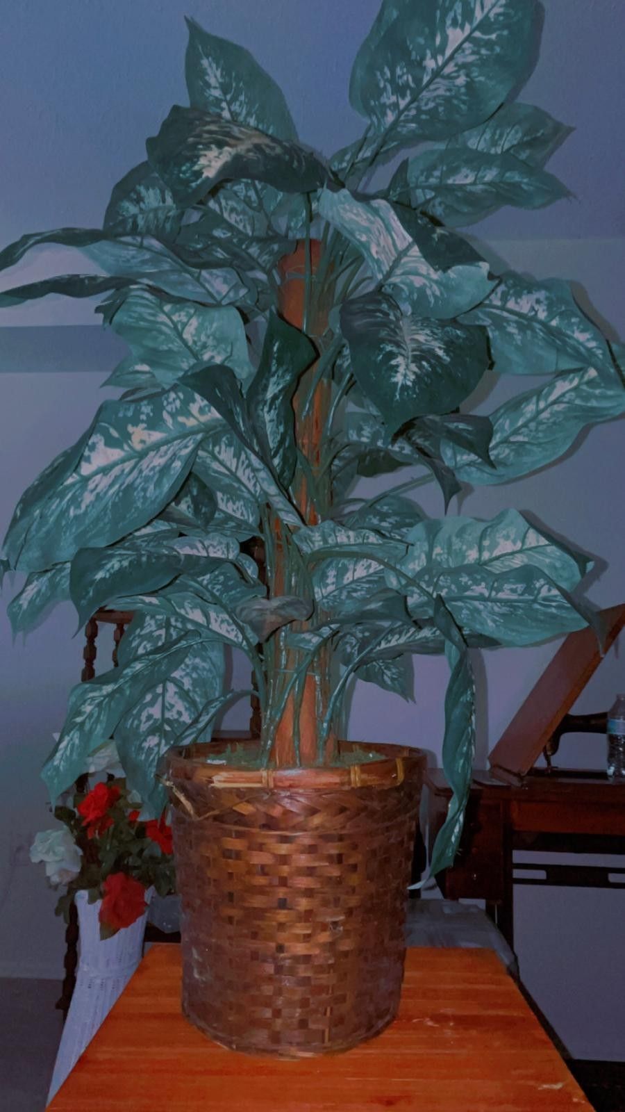 Large Decorative Indoor Plant with Woven Basket Pot