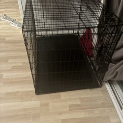 Dog Crate