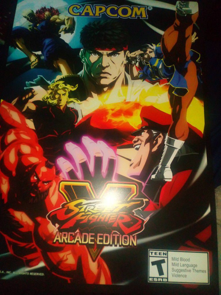 Street Fighter V Arcade Poster