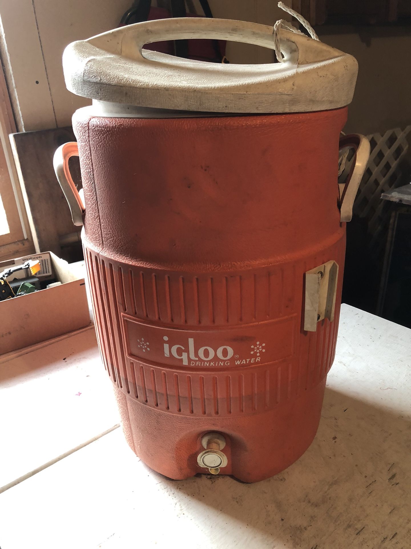 Igloo Cooler