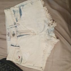 Hollister