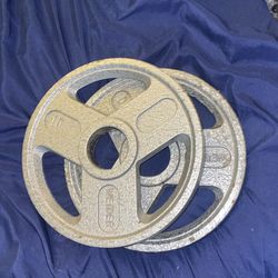 10 Pound Weight  Plate 