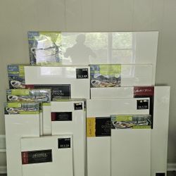 Crazy Amount Of Gallery Wrapped Professional Art Canvases 