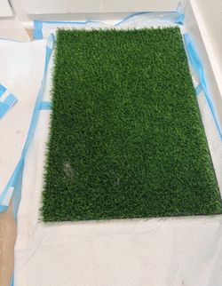 Dog Potty Training Grass + Pads
