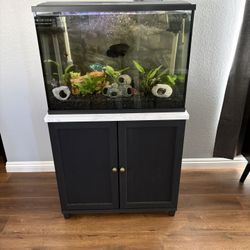 Aquarium And Stand