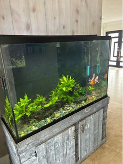 Fish tank 110 gallons