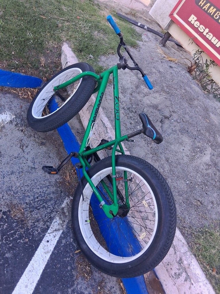 Mongoose