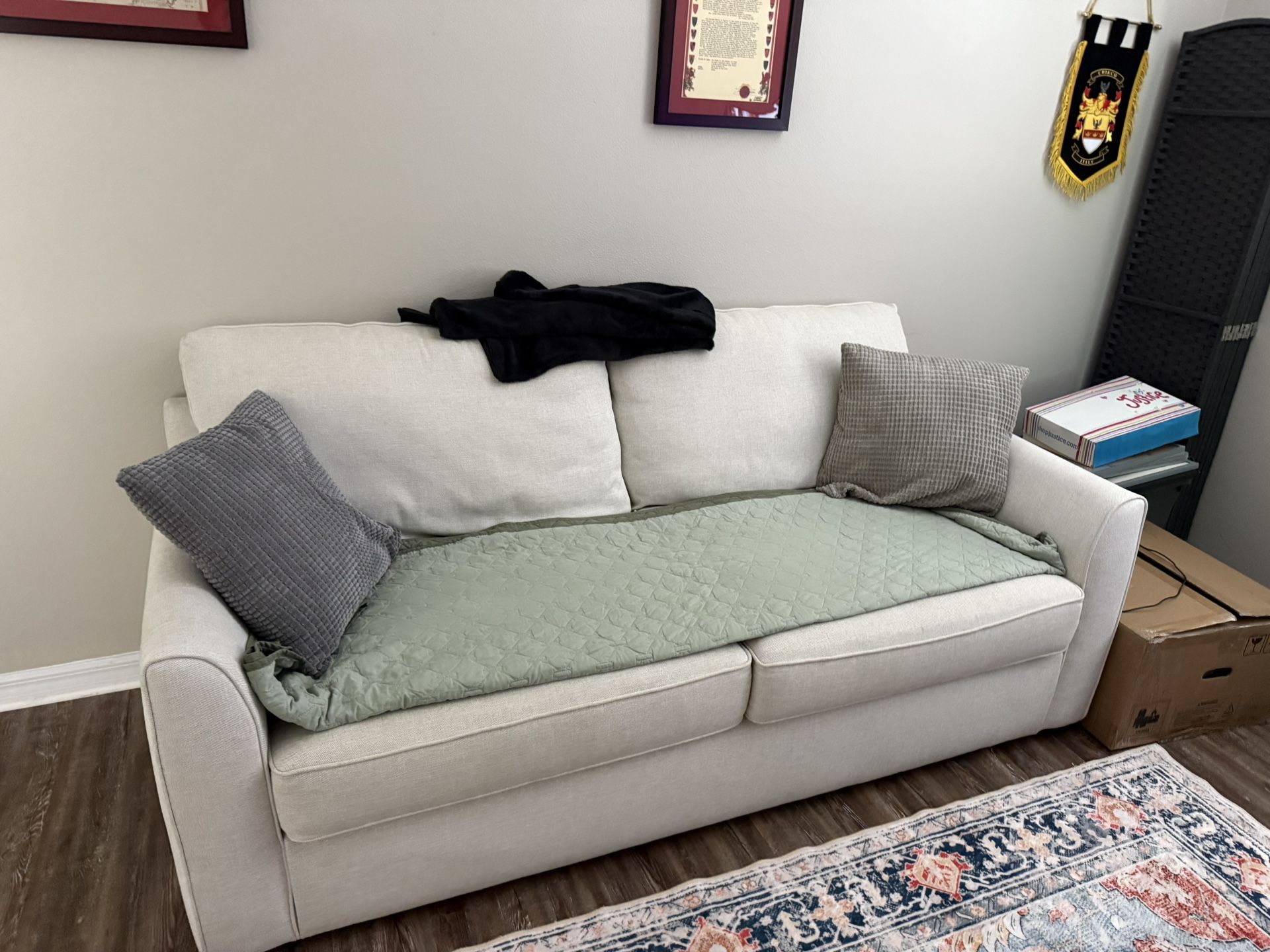 Oversized Pullout Loveseat