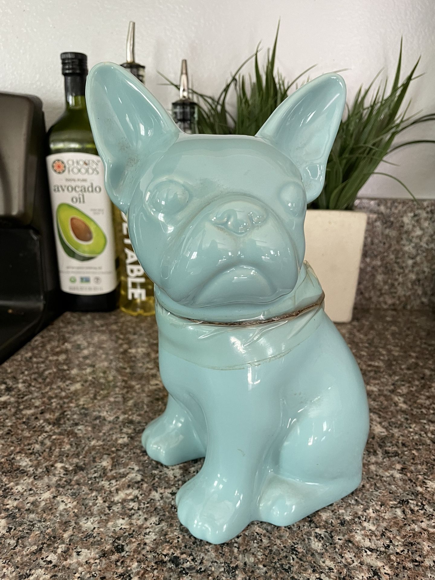 Frenchie dog  French bull Dog Cookie Jar