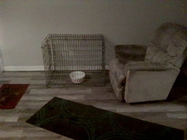 XL PET CAGE,!!!!((( BRAND NEW CORRUGATED STEEL CONSTRUCED, $$$40$$$!!!!!