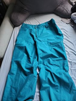 Men's Patagonia Snow Pants (Large)