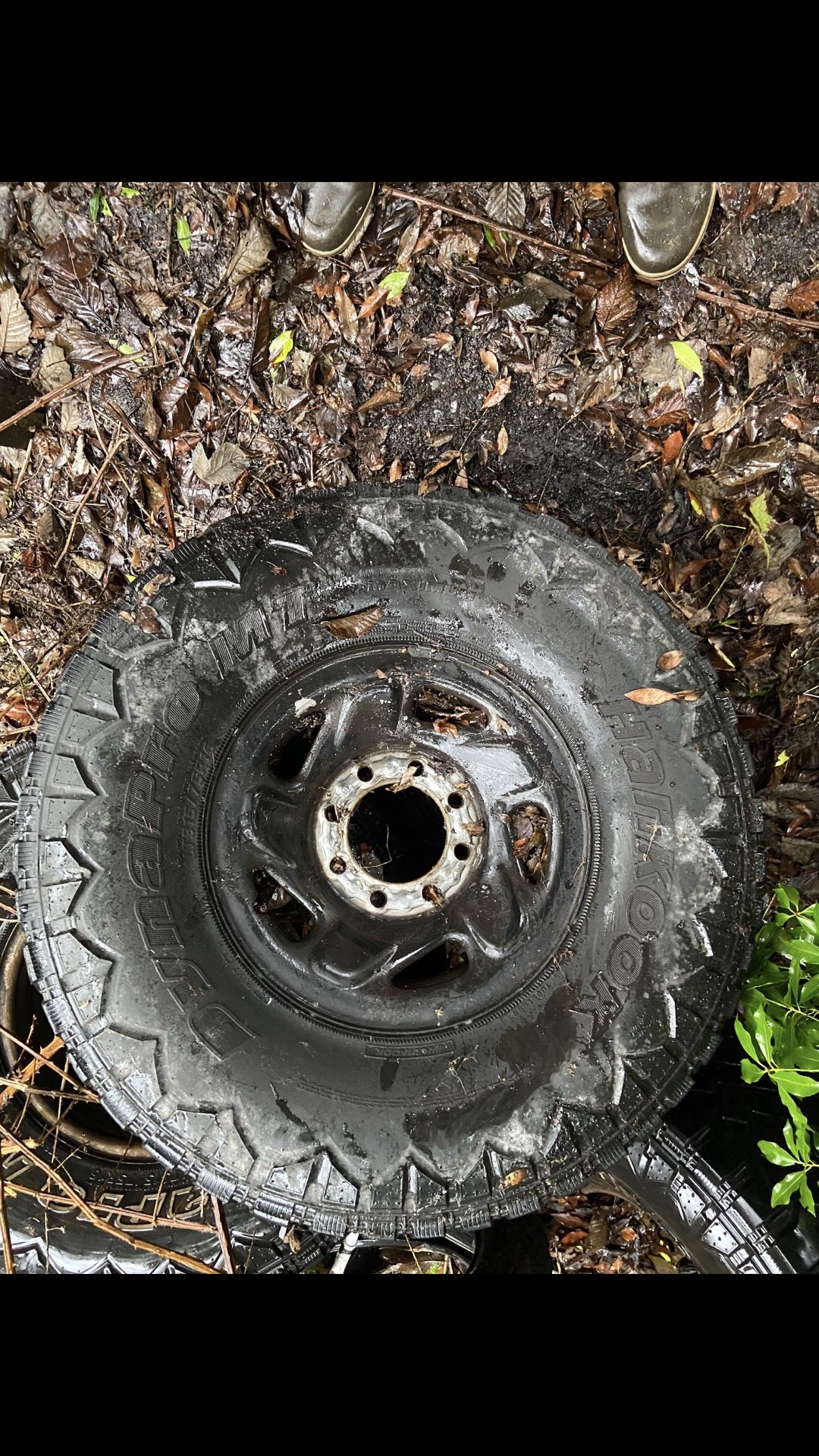 4 16 in 8x6.5