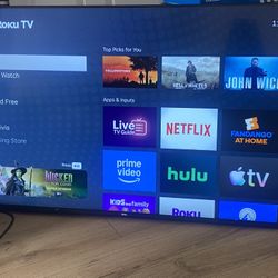 55 Inch Roku Tv