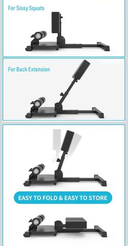 Sissy Squat and Back Extension Machine