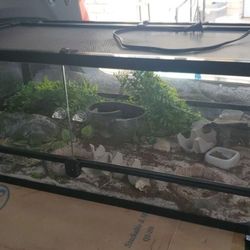 Repti Zoo Reptile Tank / Cage