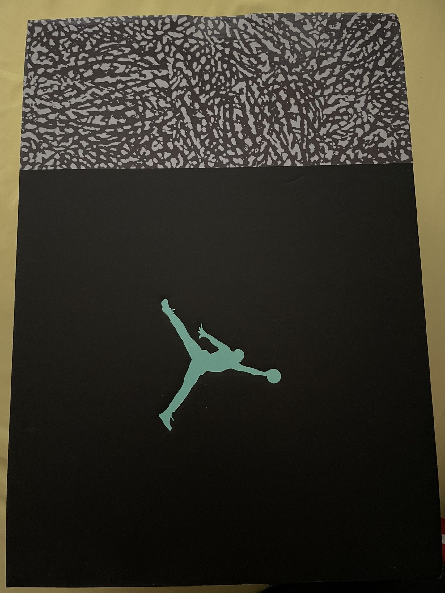 Air Jordan 3 Retro 