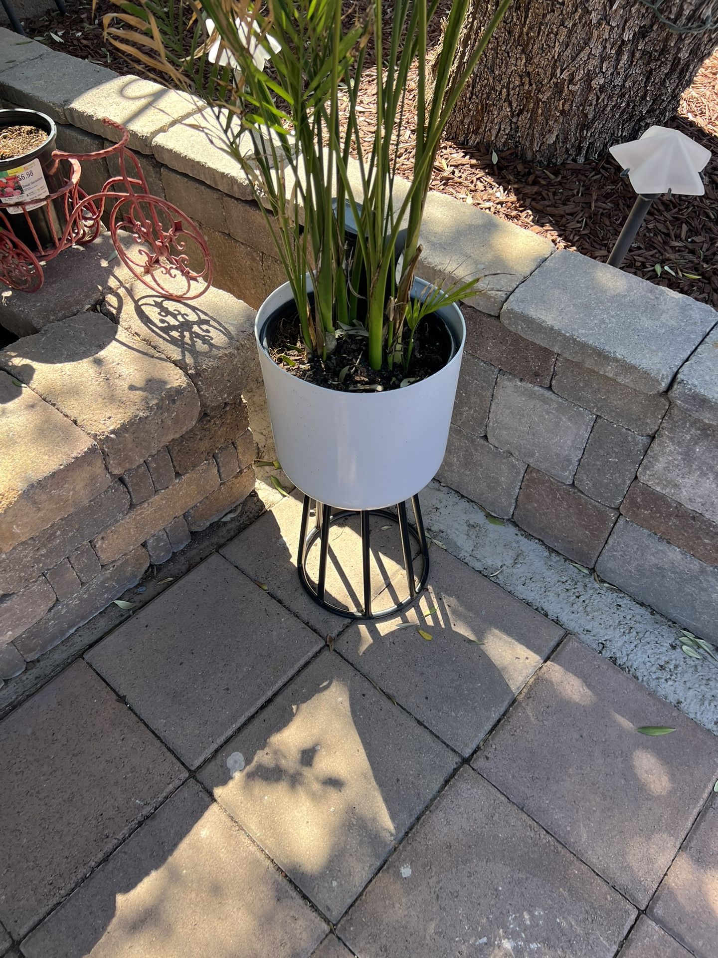 Pots With Plants
