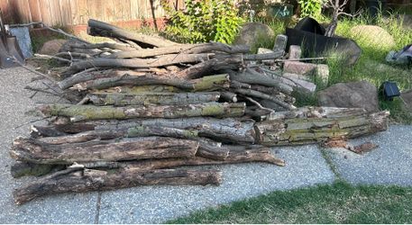 Free Firewood