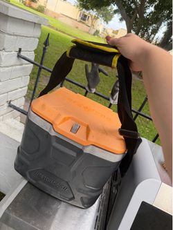 Reusable cooler bag