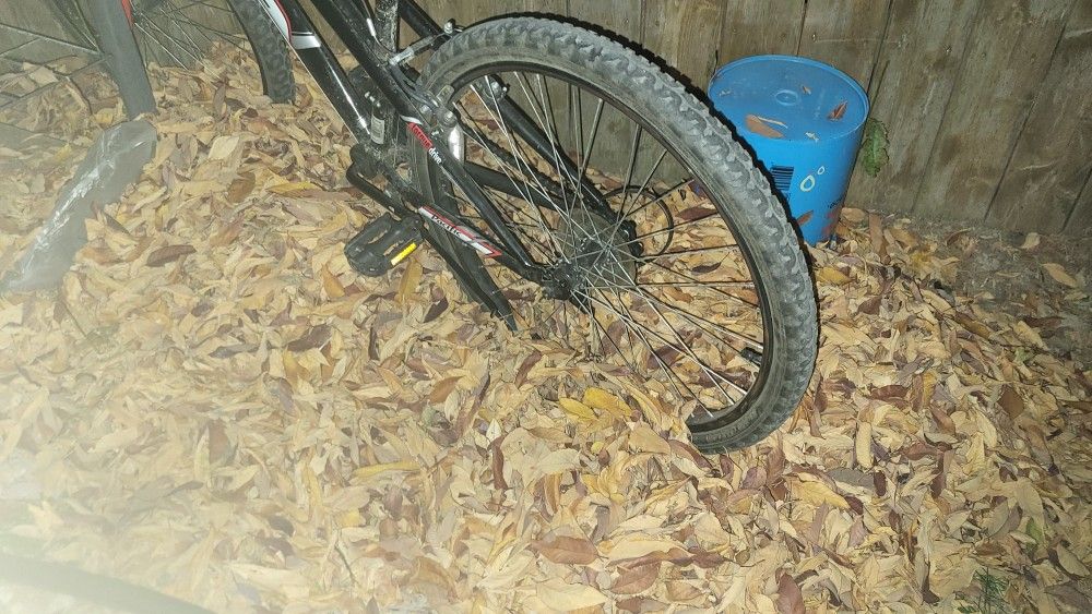 Pacific Evolution Mtb
