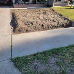 Free Dirt 