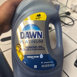 Dawn 