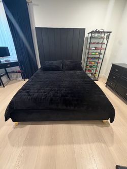 Queen Black velvet bed  from wayfair