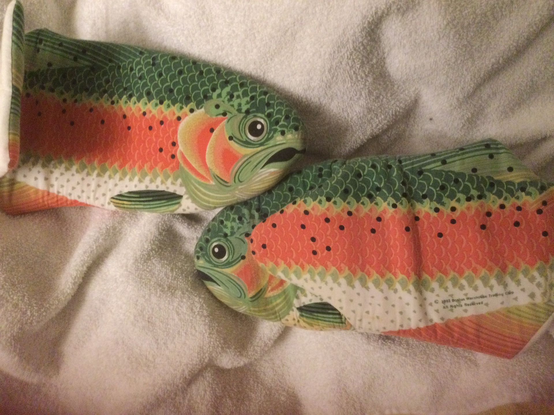 Brook Trout Pot holders