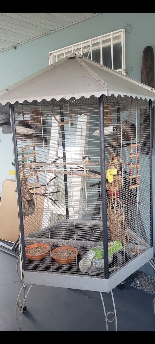 Bird Cage