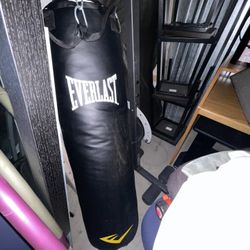 Everlast, Punching Bag And Indoor Stand Like New